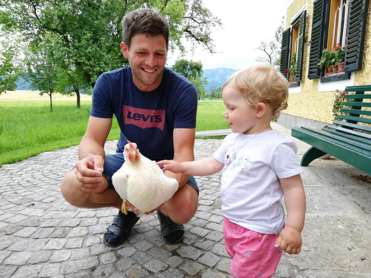 Weslhof Villa Attersee Bagian luar foto