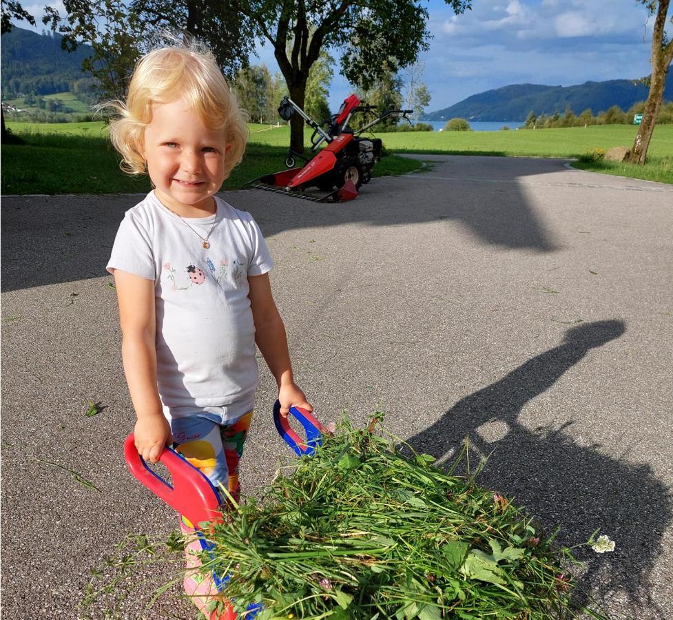 Weslhof Villa Attersee Bagian luar foto