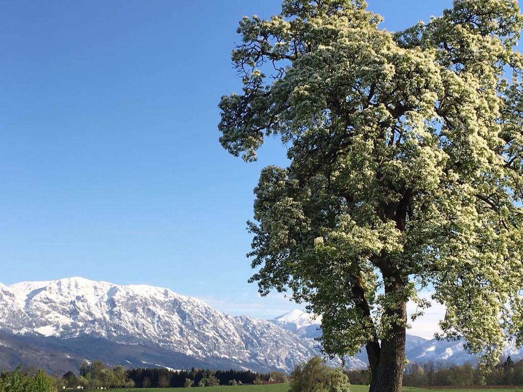 Weslhof Villa Attersee Bagian luar foto